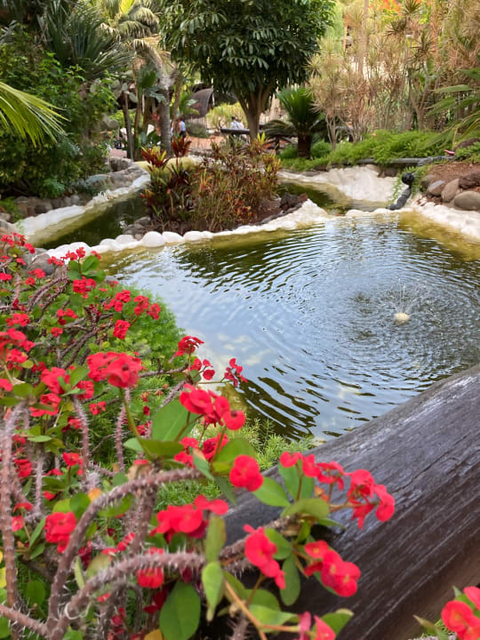Gartenanlage Hotel Parque Tropical