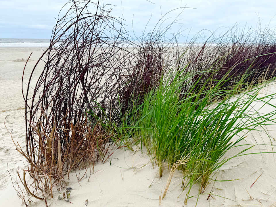 Strand Hotel zur alten Inselkirche