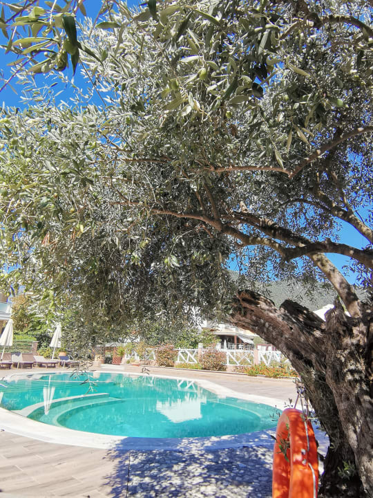 Pool Alexandra Golden Boutique - Adults only