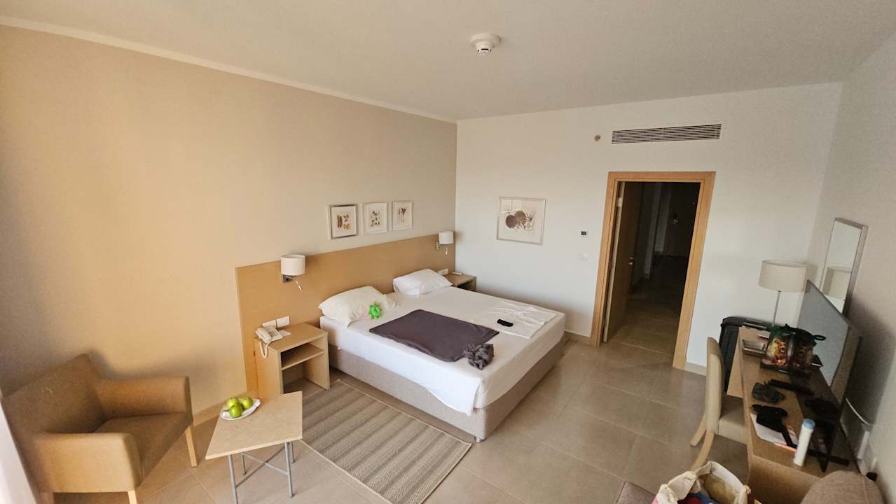 Zimmer JAZ Elite Asteria