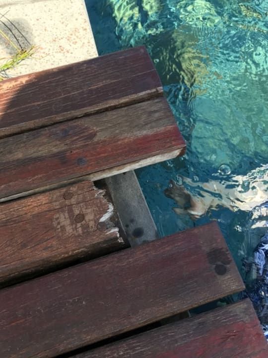 Pool Shanti Maurice Resort & Spa