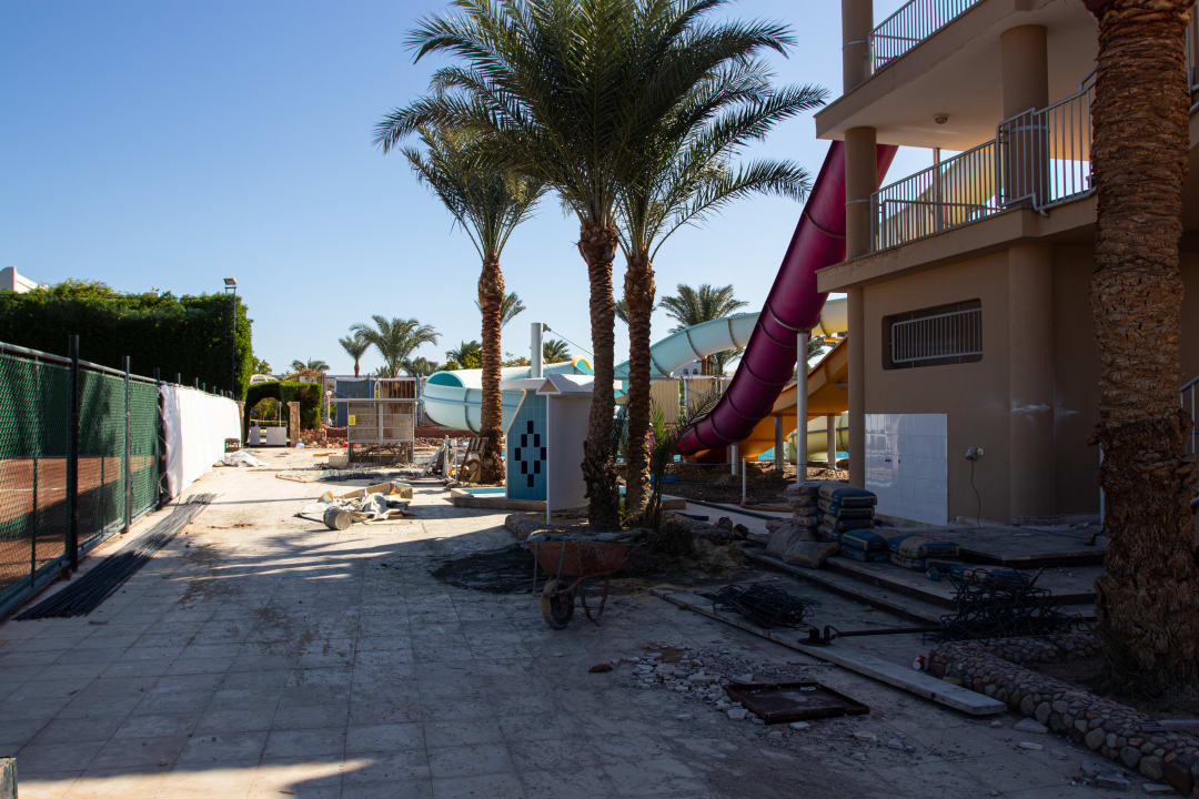 Sport & Freizeit Desert Rose