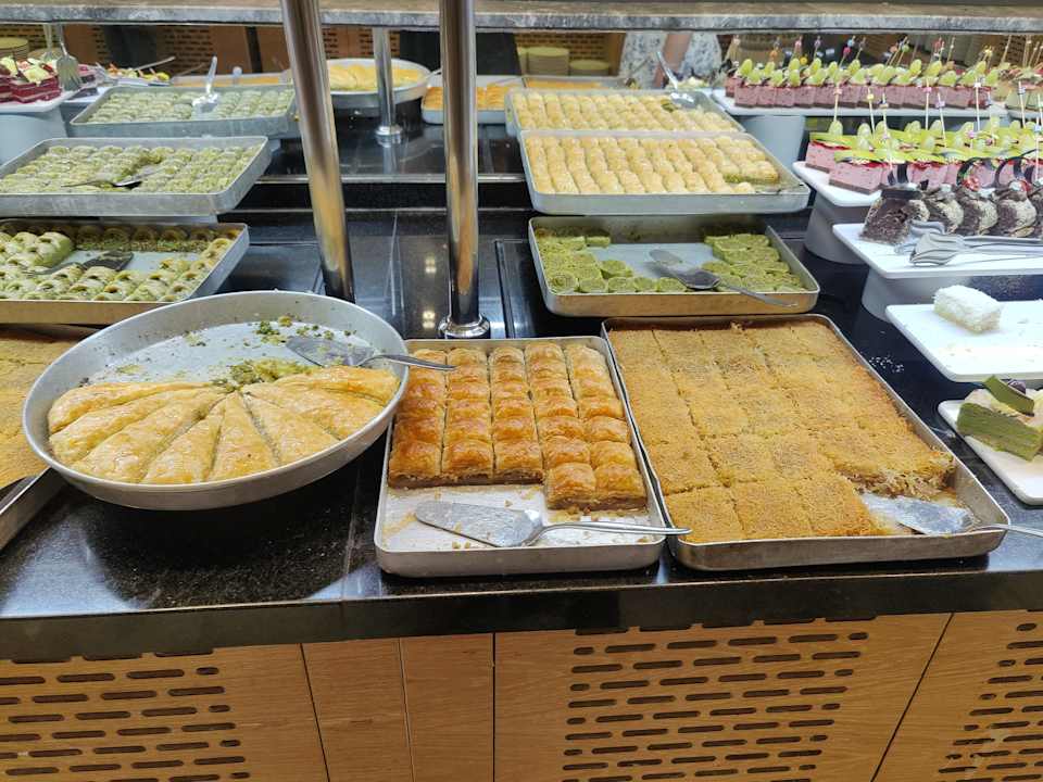 Gastro Seashell Vega