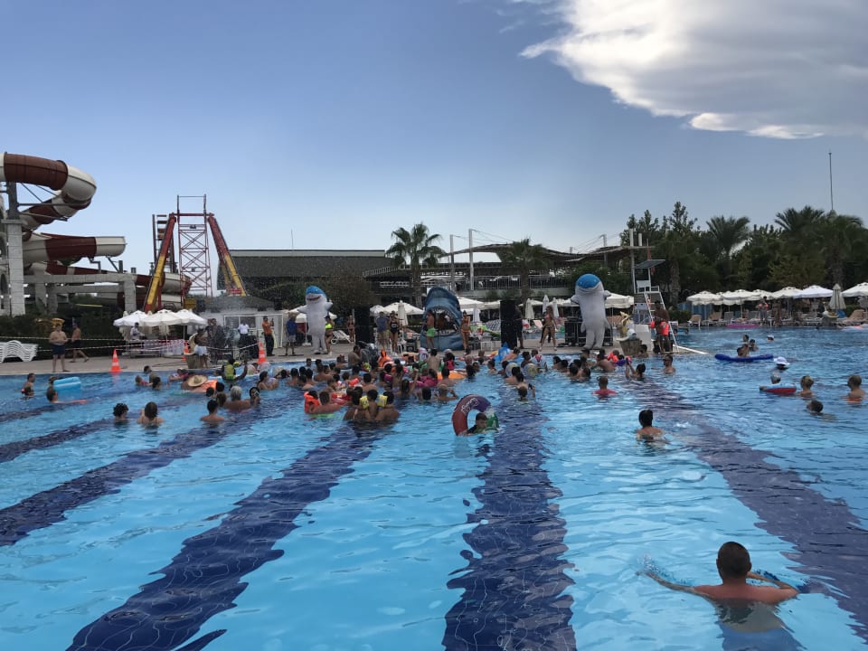 Pool Hotel Delphin Imperial