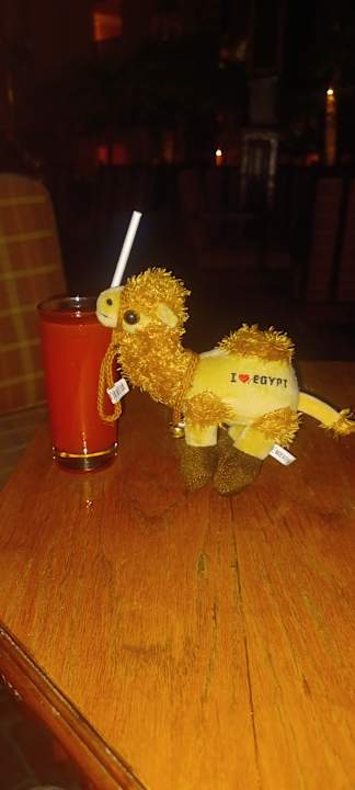 Gastro Stella Beach Resort & Spa Makadi Bay