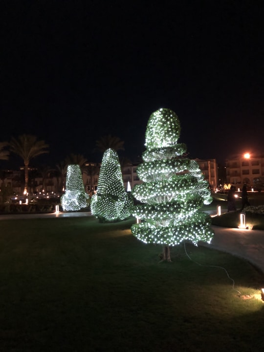 Gartenanlage Pickalbatros Dana Beach Resort - Hurghada