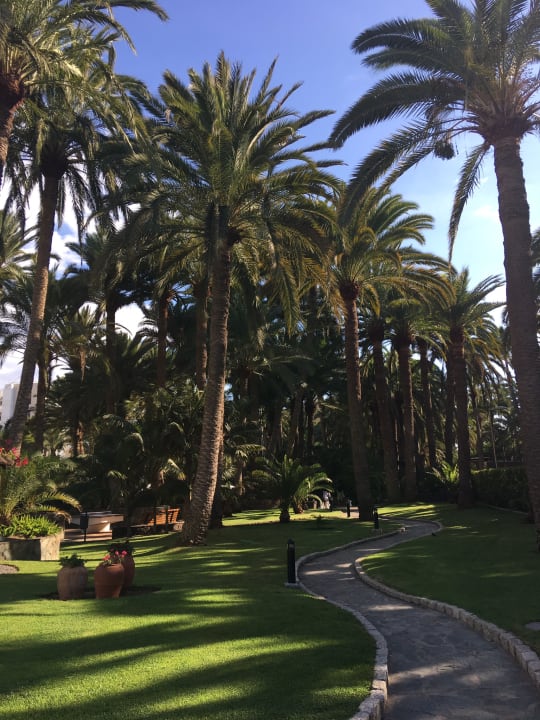 Gartenanlage Seaside Hotel Palm Beach