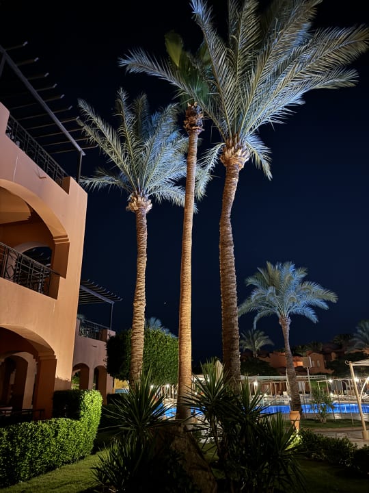 Gartenanlage Jaz Makadi Oasis Resort