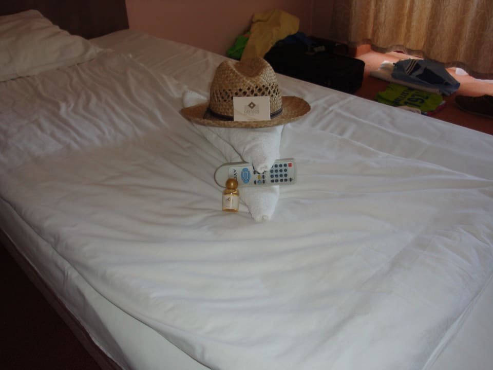 Zimmer nach Reinigung Odessos Park Hotel