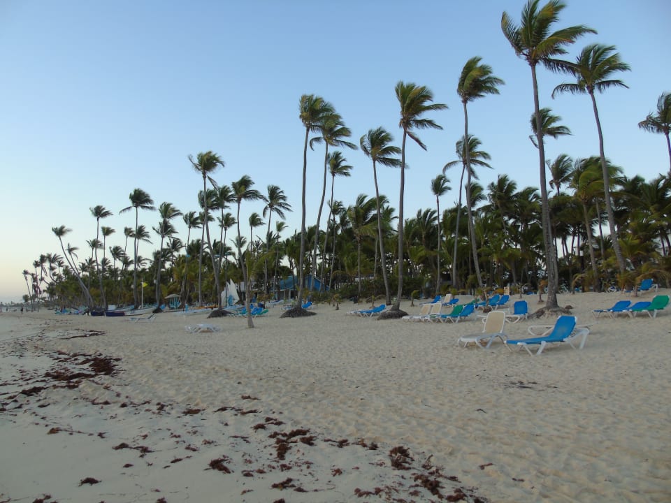 Strand Hotel Riu Palace Macao - Adults only