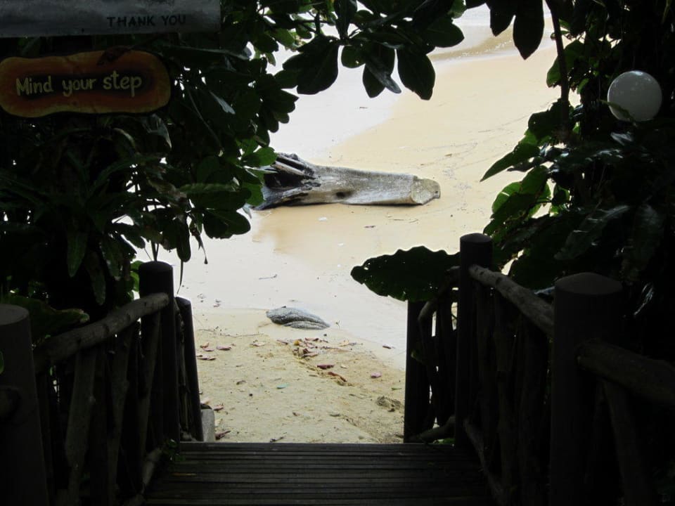 Steg zum Strand Marina Phuket Resort