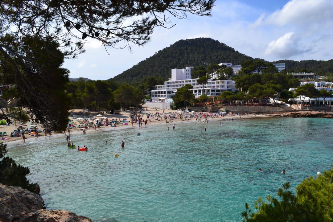 Strand zum Hotel Sandos El Greco Beach Hotel 16+