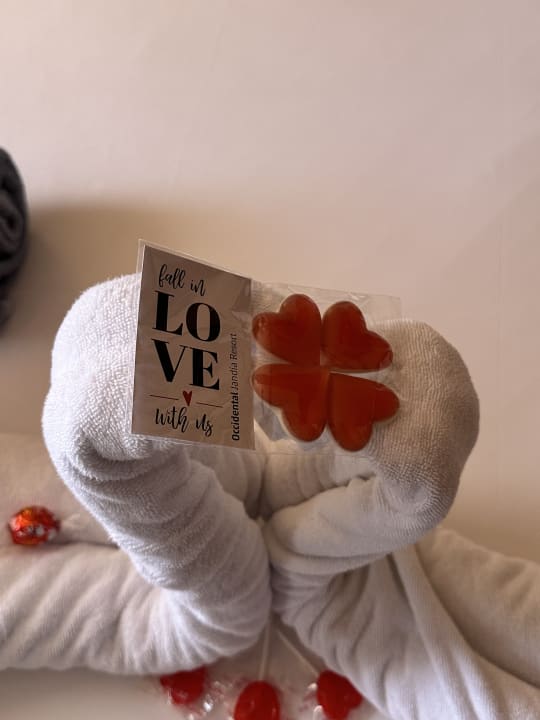 Zimmer Occidental Jandía Royal Level - Adults only