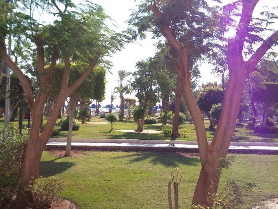 Blick von der Zimmerterrasse mit Strand und Meer The Grand Hotel Hurghada