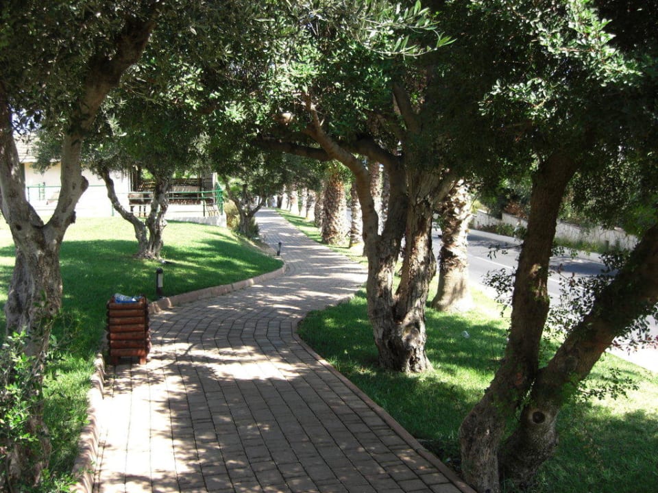 Fußweg zur Straße runter Royal & Imperial Belvedere Resort