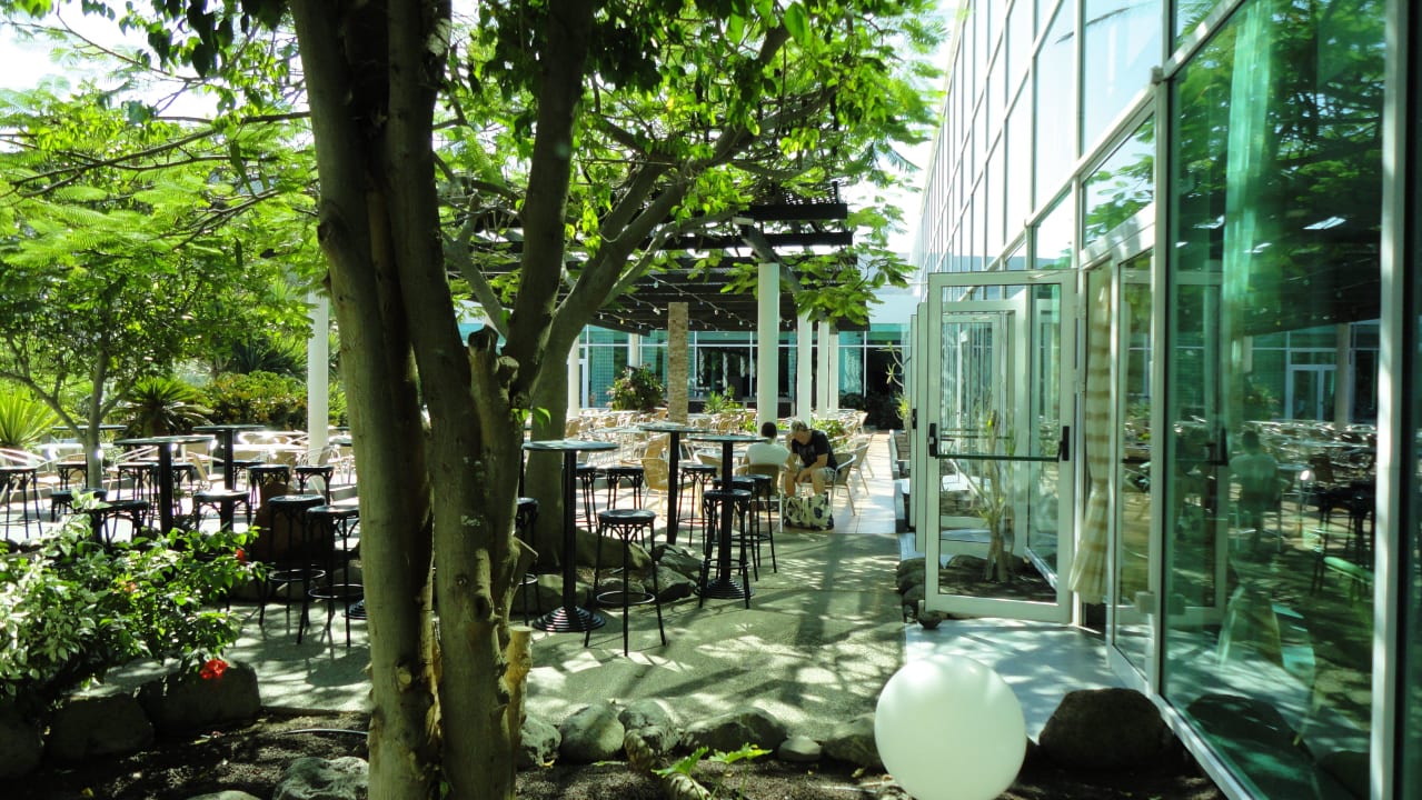 Terrasse allsun App.-Hotel Esquinzo Beach