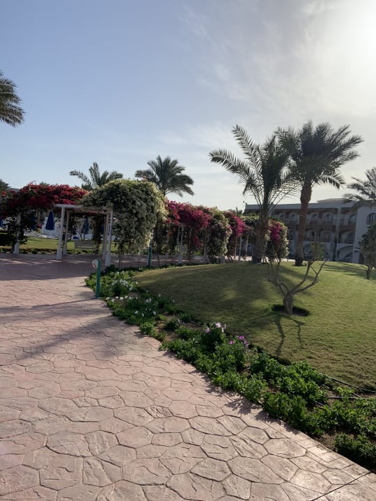 Ausblick Desert Rose