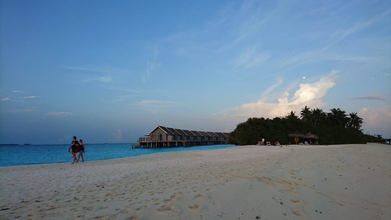 Von der Sandbank aus sieht man die poolwatervillen Kuramathi Maldives