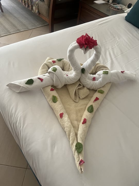 Zimmer Jaz Soma Beach