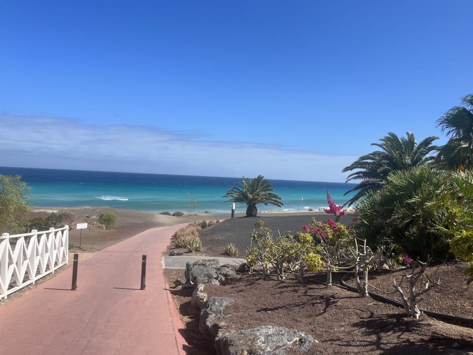 Strand Iberostar Waves Gaviotas Park