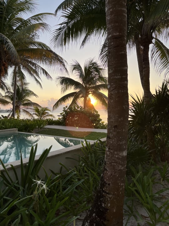 Pool Akumal Bay Beach & Wellness Resort