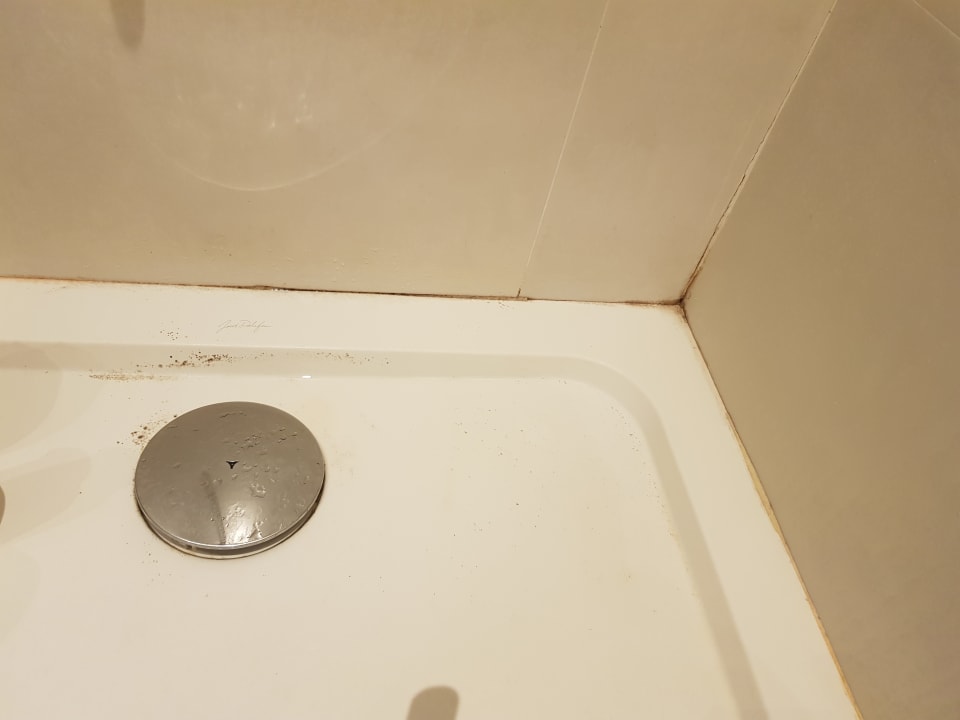 Zimmer Melia La Palma Hotel