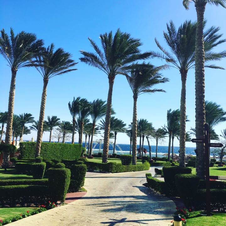 Gartenanlage Rixos Sharm El Sheikh Adults Only 18 +