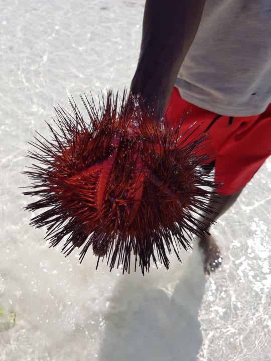 Strand Neptune Village Beach Resort & Spa