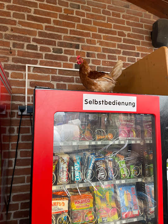 Gastro Bauer Martin | Ostsee Ferienhof Bendfeldt bei Grömitz