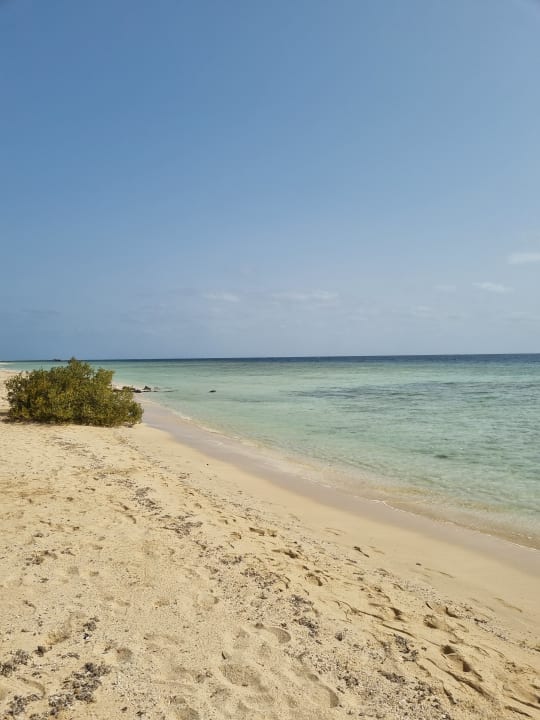 Strand Hotel Gorgonia Beach Resort