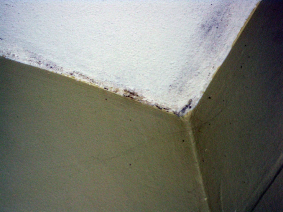 Zimmerdecke HOLIDAY VILLA BEACH RESORT & SPA LANGKAWI KEDAH