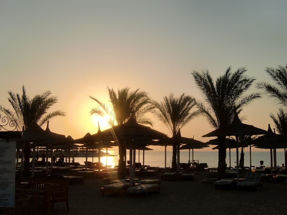 Morgens um halb 5 am Strand. Beach Albatros Resort