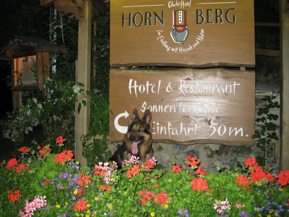 08 Saanenmöser MAISON HORNBERG