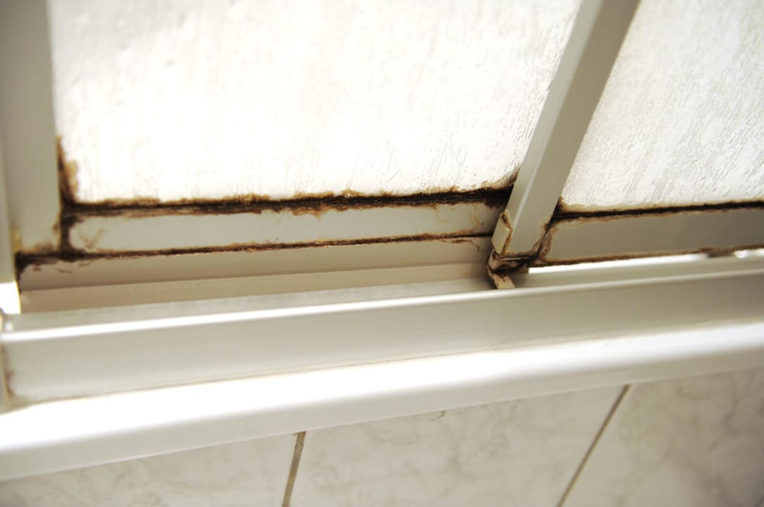 Duschkabine im Bad Hotel Kronprinz