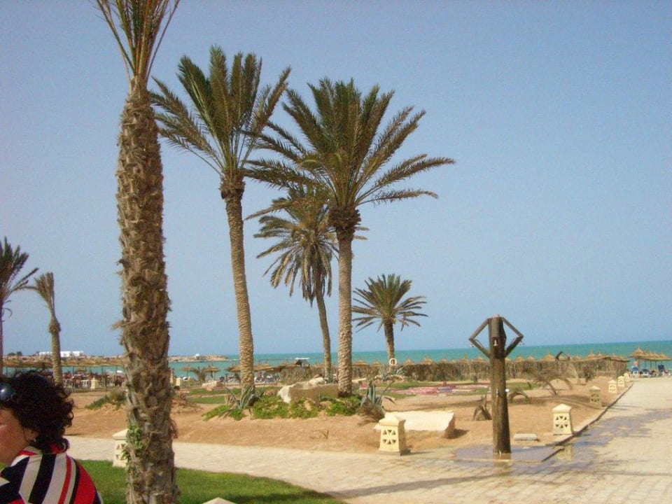 Auf dem Weg zum Strand Vincci Safira Palms
