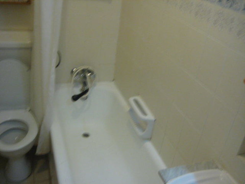 Bad Hotel Plevna