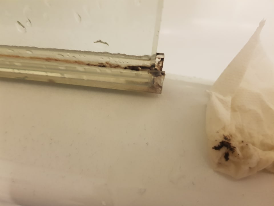 Zimmer Dorint Hotel Bonn