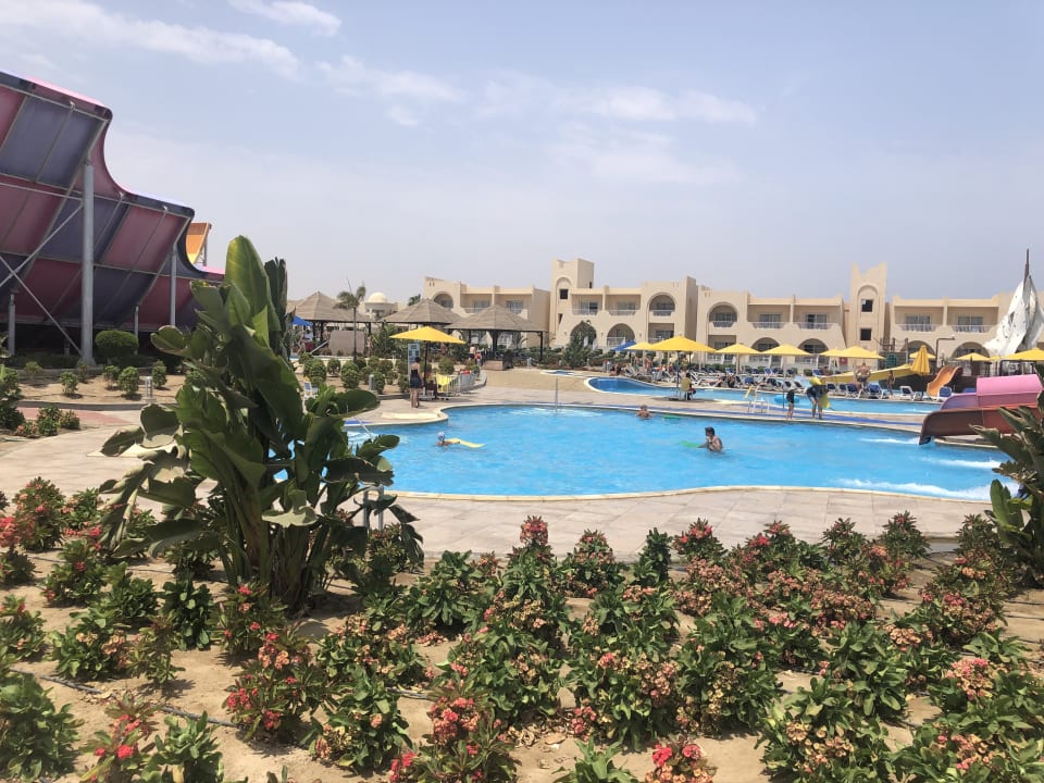 Pool Pickalbatros Vita Resort - Portofino Marsa Alam