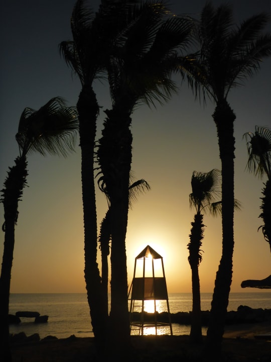 Strand Pickalbatros Citadel Resort