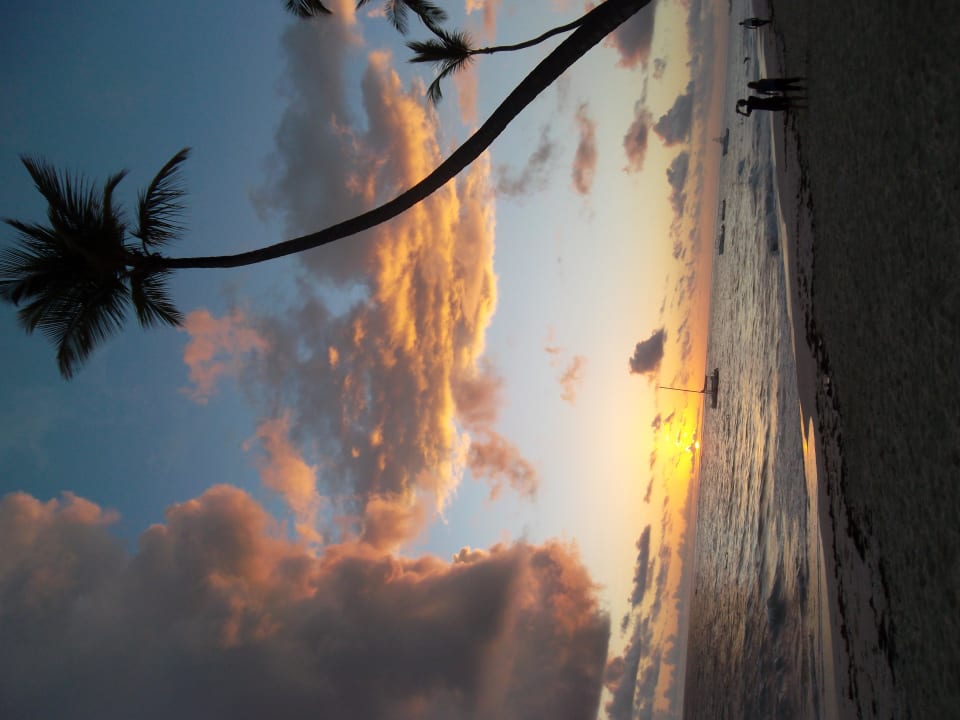 Sonnenaufgang Grand Palladium Select Bávaro Resort & Spa