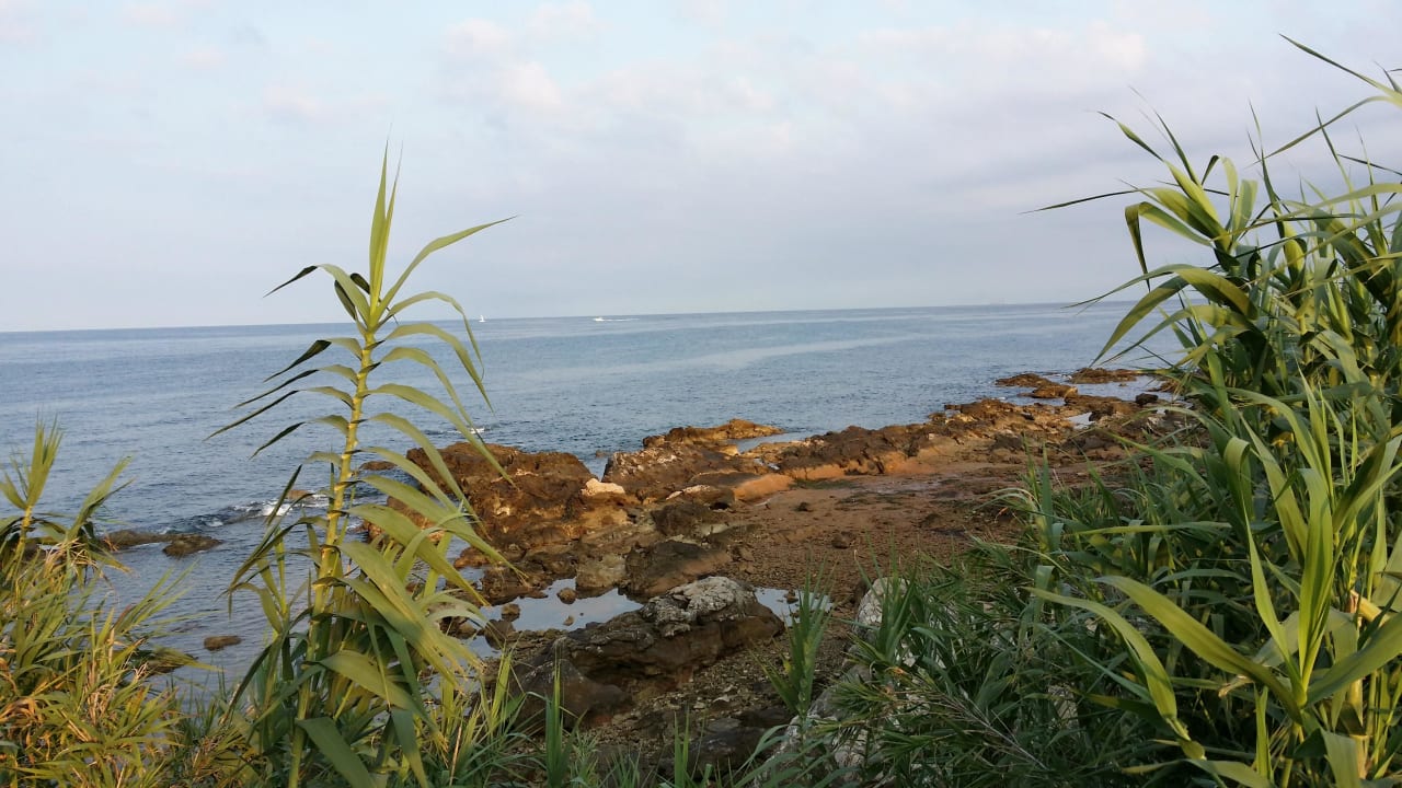 Jogging Strecke Ausblick Rooms Savudrija Plava Laguna