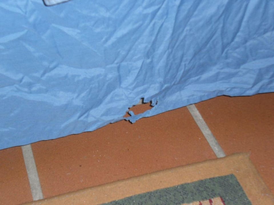 Angefressenes Bettlaken Sunscape Puerto Plata