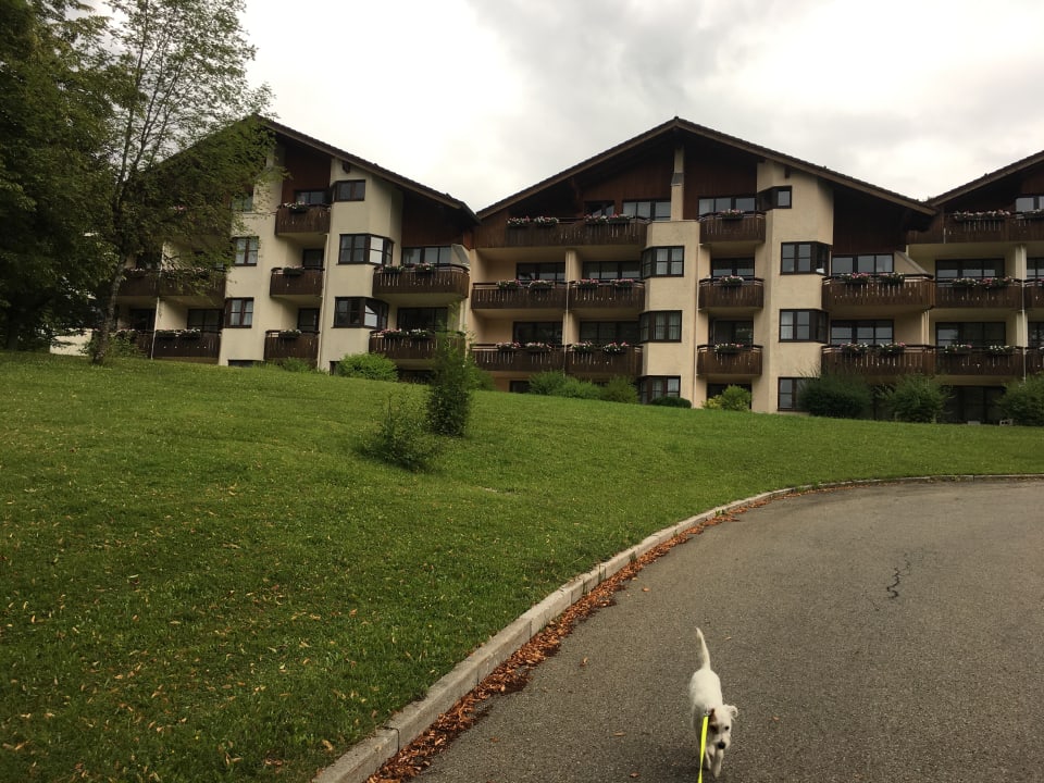 Gartenanlage Dorint Sporthotel Garmisch-Partenkirchen