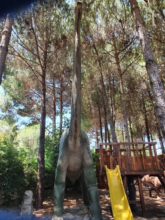 Sport & Freizeit Maxx Royal Belek Golf Resort