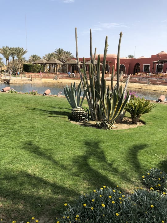 Gartenanlage Radisson Blu Resort, El Quseir
