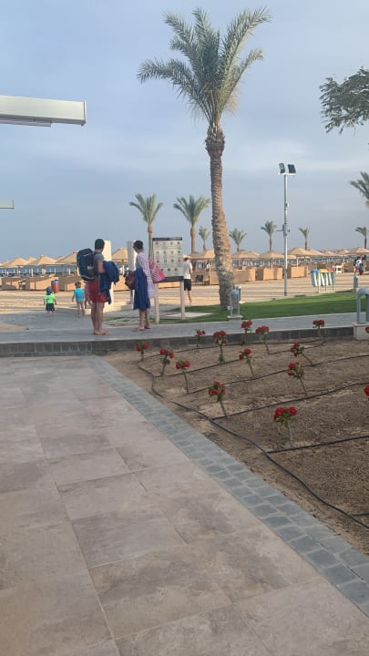 Sonstiges Pickalbatros Palace Resort