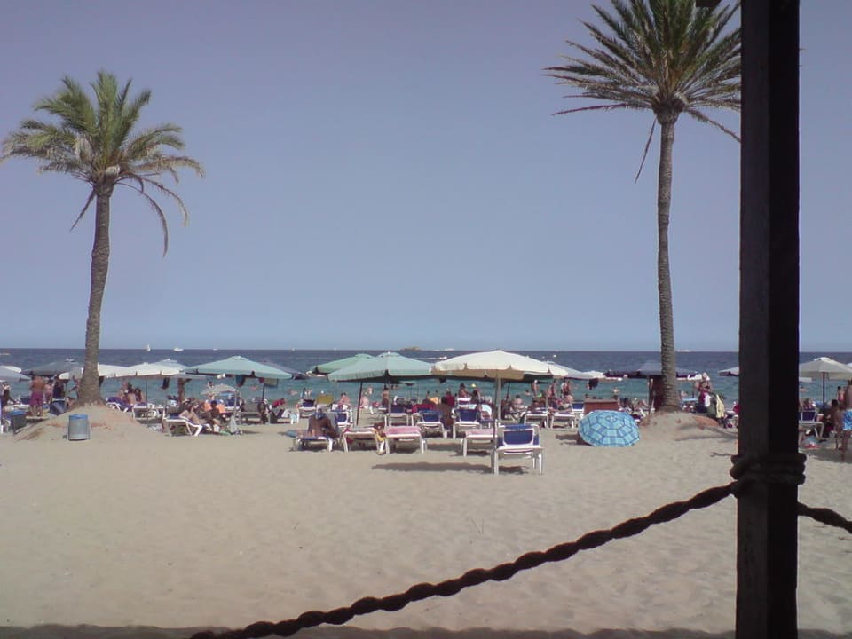 Strandblick aus der Strandbar FERGUS Style Bahamas