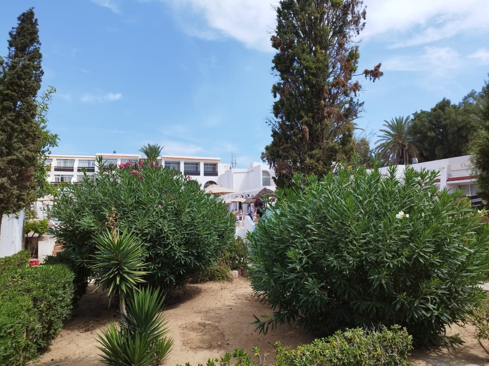 Gartenanlage Marhaba Royal Salem