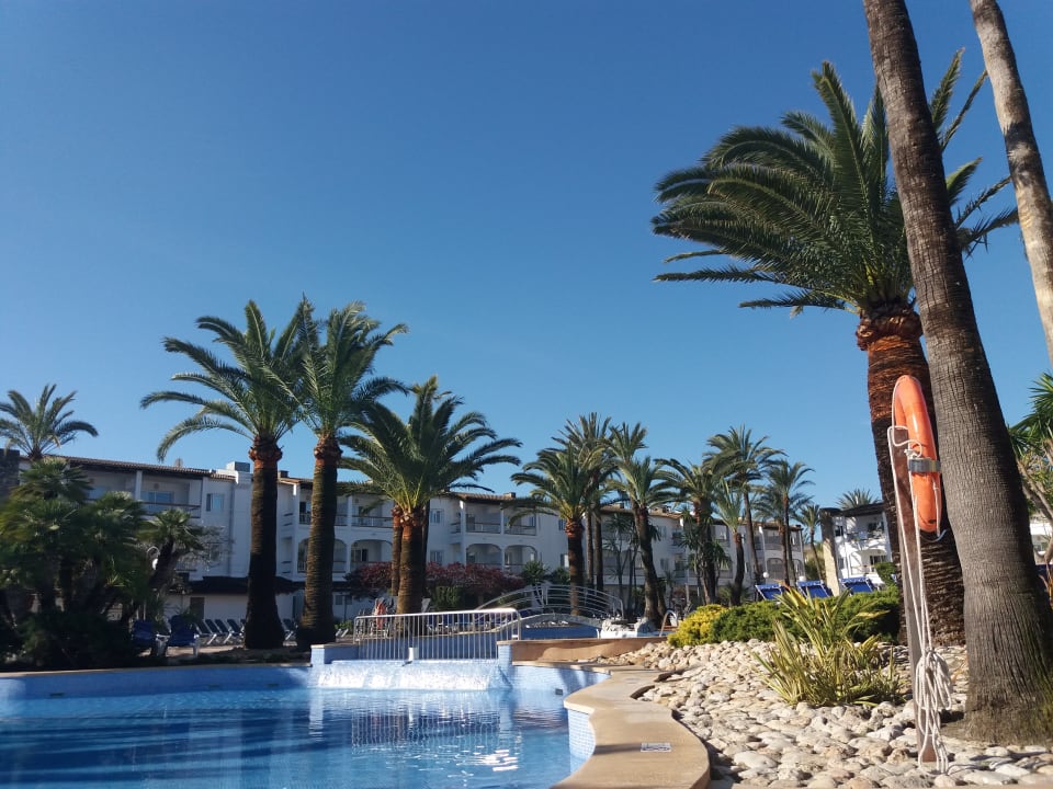 Pool Alcudia Garden Aparthotel