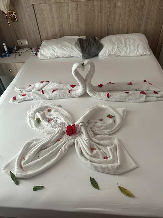 Zimmer Dream World Aqua Hotel